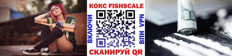 COCAIN Fish Scale  ОМГ ОМГ ССЫЛКА  Николаевск 