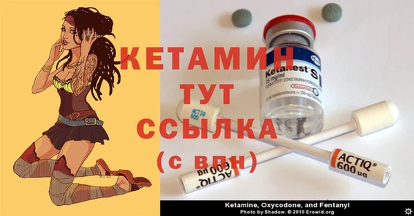 амф Аркадак